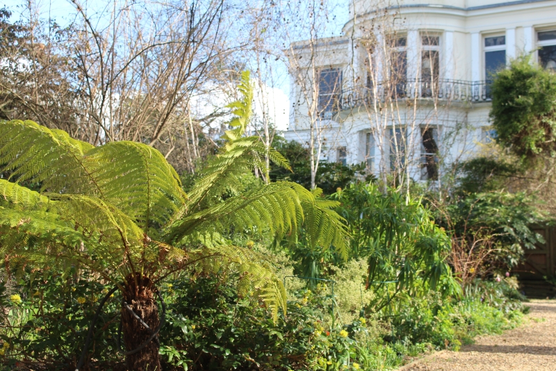 Arundel & Ladbroke Gardens